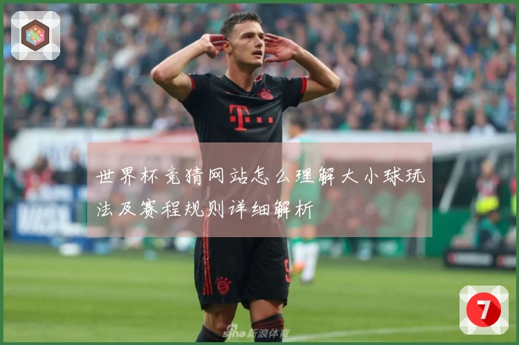 世界杯竞猜网站怎么理解大小球玩法及赛程规则详细解析