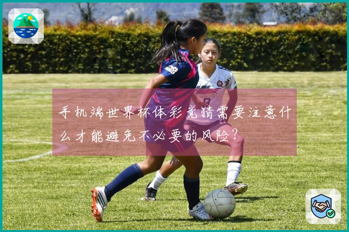 手机端世界杯体彩竞猜需要注意什么才能避免不必要的风险？