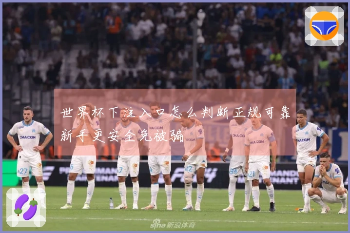 世界杯下注入口怎么判断正规可靠新手更安全免被骗