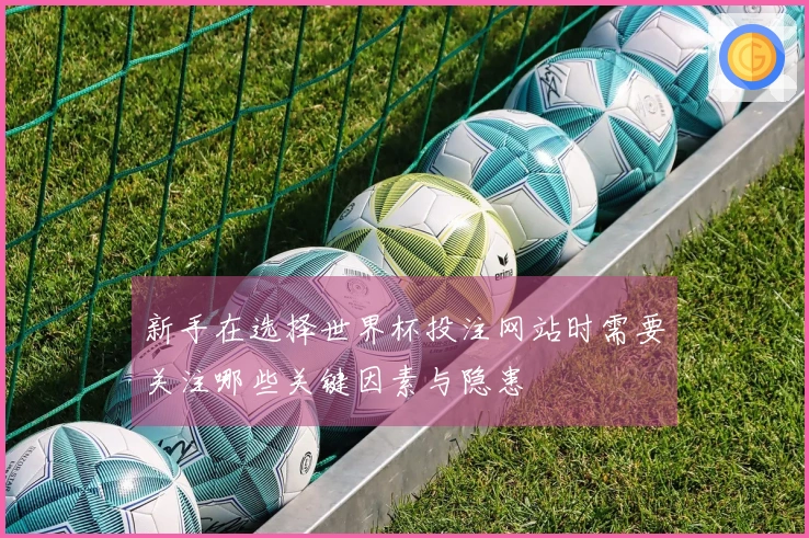 新手在选择世界杯投注网站时需要关注哪些关键因素与隐患