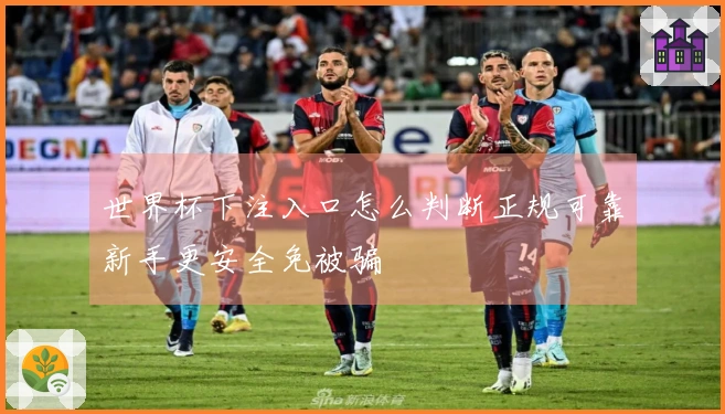 世界杯下注入口怎么判断正规可靠新手更安全免被骗