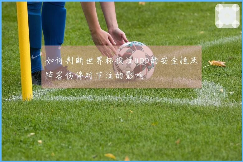 如何判断世界杯投注app的安全性及阵容伤停对下注的影响